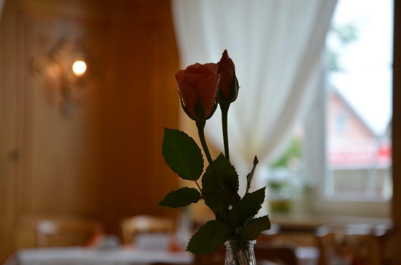 Hotel Krone Kressbronn Am Bodensee Ngoại thất bức ảnh